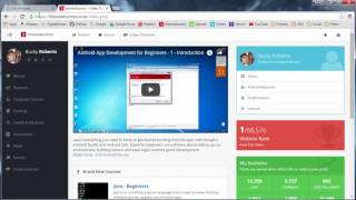 SEO for Beginners Tutorial   14   Website Crawls