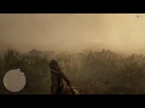 Red Dead Redemption 2_Cougar farts before death! lol