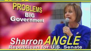 Sharron Angle TV Ad "Persuasive"
