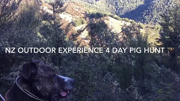 Pig hunting New Zealand 2018