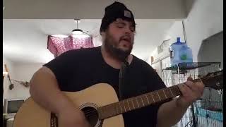 Blind Melon- Skinned acoustic cover re upload 