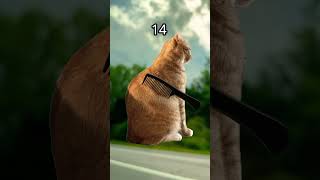 Can you beat my score
