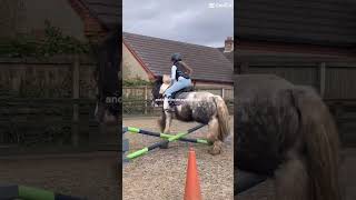 Love u blue xx #equestriangirl #horse #equestrianvibes #equestriancommunity #equestrian #riding