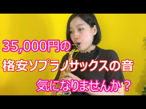 花に亡霊/ヨルシカを激安サックスで吹いてみた【服部管楽器】サックスプレイヤー