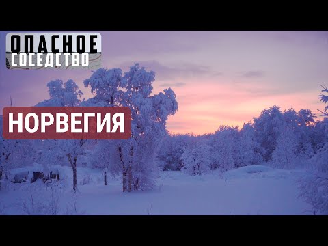 Холодный мир | ОПАСНОЕ СОСЕДСТВО