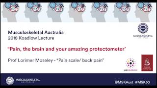 Pain Scale - Koadlow Lecture 2018