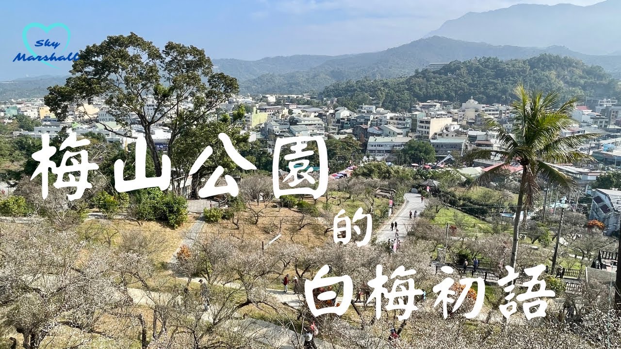 梅山公園的白梅初語