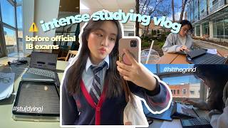 Last Week Before My Ib Exams Vlog Intense Studying, Living Alone, Self-Care, ...