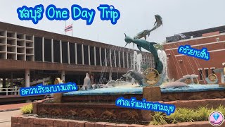 VLOG Ep.89 ชลบุรี One Day Trip | ครัวยายชิ้น-ศาลเจ้าแม่เขาสามมุข-Bangsaen Aquarium-by ตลับเพชร