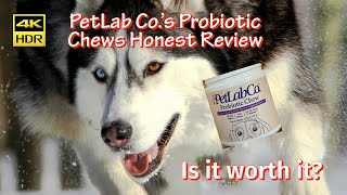 PetLab Co.'s Probiotic Chews Honest Review by myhuskymax 74 views 1 month ago 1 minute, 24 seconds