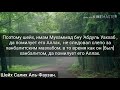 Шейх Аль-Фаузан - Верующий следует за истиной ,даже  если это противоречит его мазхабу.