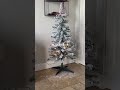 The tree I wanted vs the tree I got