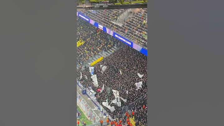 Sturm Graz Fans in Dortmund 05.11.2024