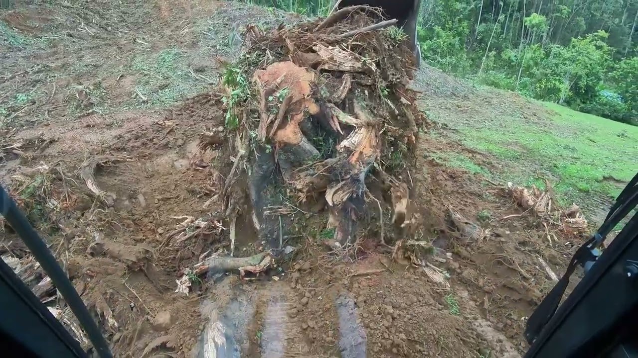 continuando limpeza p2  tirei um toco gigante