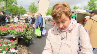 Marche Horticole Ermont