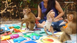 Wow Super Small Moly Walking Straight To Hug Brother Donal, Family Monkey Playing Outdoor