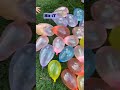 2022 Prank Water Balloons Https Amzn To 34yjR4f Squid Game بالونات الماء 