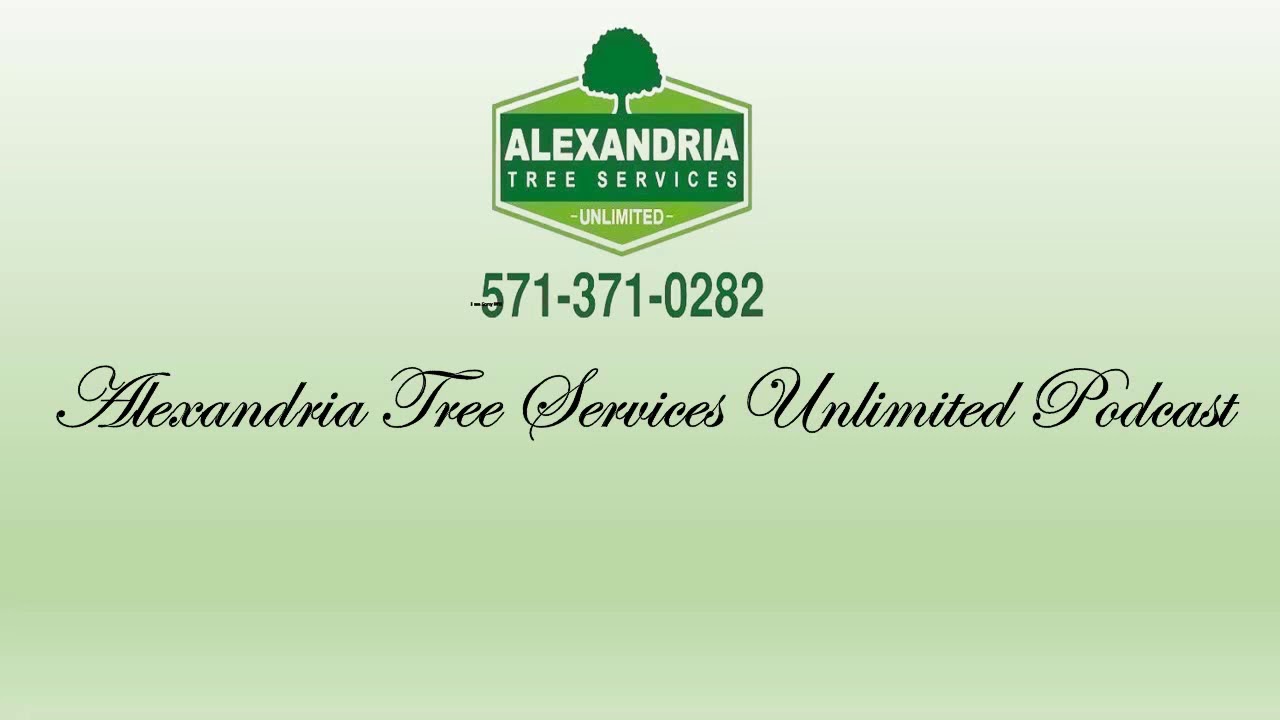 Alexandria Tree Services Unlimited Podcast YouTube