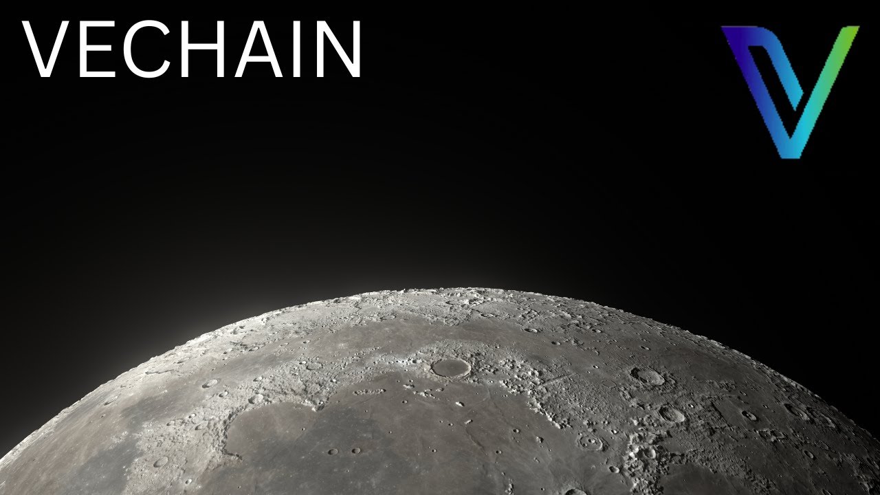 Breaking: VeChain Partners With MAJOR Financial Institution!