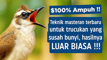 Pancingan trucukan gacor ngalas tarung ropel paling bagus untuk pancingan trucukan agar bunyi nyaut