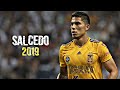 Carlos Salcedo 2019 ● Mejores Jugadas Defensivas & Goles ● Tigres UANL