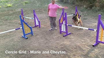 AGILITY TRAINING (SUSAN SALO GRIDS) - Tunnel Grids - Figure 8 - Cercle Grid - Adjustable Stride Grid