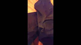 Chcho Abesalat Live Stream