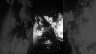 ShodaiGoji: The Genesis of the First Ever Godzilla Suit!