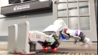 ROBOTIS-MINI Workout 6