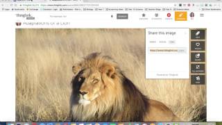 Year 8 Science - Embedding ThingLink into Google Site