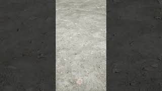 Would You Survive Alone On The Moon