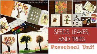 LEAF PRESCHOOL LESSON PLANS | PRESCHOOL UNIT STUDY