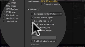 Publishing swf files from Abobe Animate  WK4