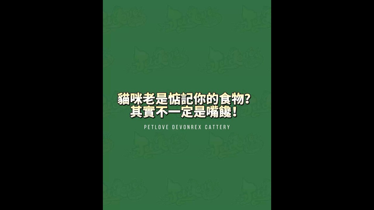 🤔為什麼貓咪老是惦記你的食物🤤🥩? 縮圖