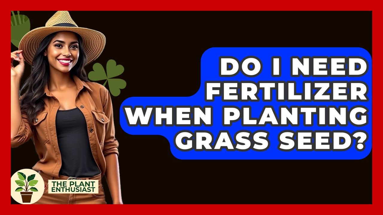 Do I Need Fertilizer When Planting Grass Seed? - The Plant Enthusiast