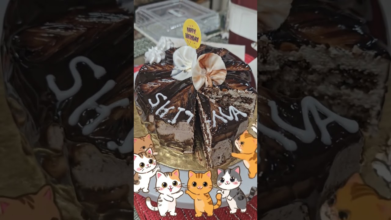 happy birthday 🎂cato cat # finy cat