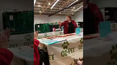 2019 ACF National Show Group 1 Desexed Cats Ring 3...