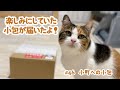 #46 小町への小包
