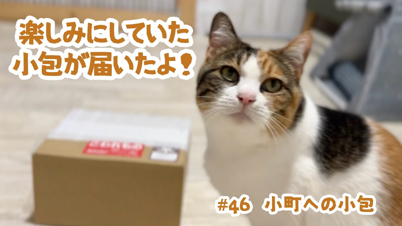 #46 小町への小包