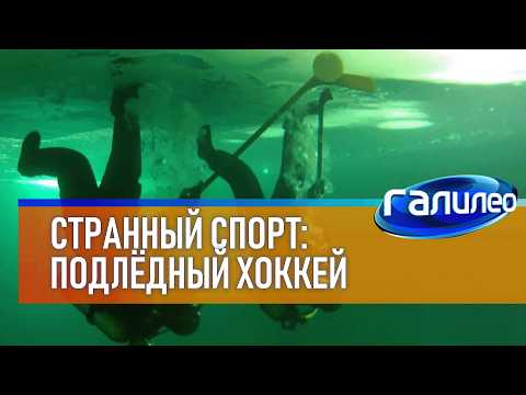 Strange Sports: Underwater Ice Hockey 🏒 Galileo | Season 3