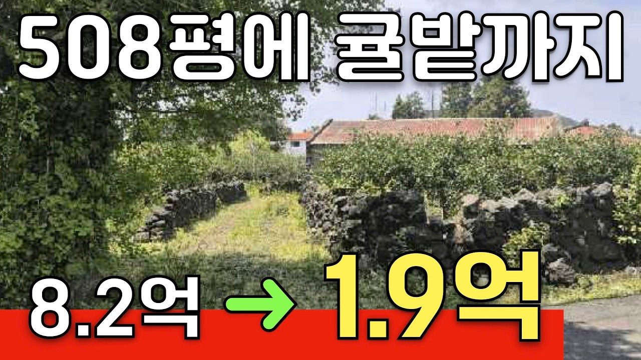 제주 508평 단독주택이 1억9천만원대 그 중 200평남짓은 귤밭까지 완벽하게 제주도의 주택을 느낄수 있는 곳