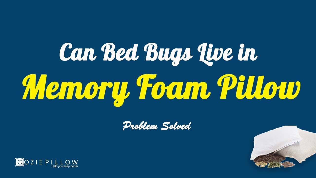Can Bed Bugs Live In Memory Foam Pillow | Problem Solved
