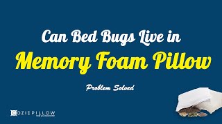 Can Bed Bugs Live in Memory Foam Pillow | Problem Solved