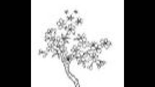 Blossom Tree Animation