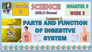 SCIENCE 6 QUARTER 2 WEEK 3 LESSON 1 | PARTS AND FUNCTION OF DIGESTIVE SYSTEM
