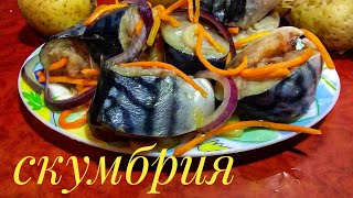 Скумбрия Малосольная за 2 часа Вкусный Рецепт Как Засолить Скумбрию