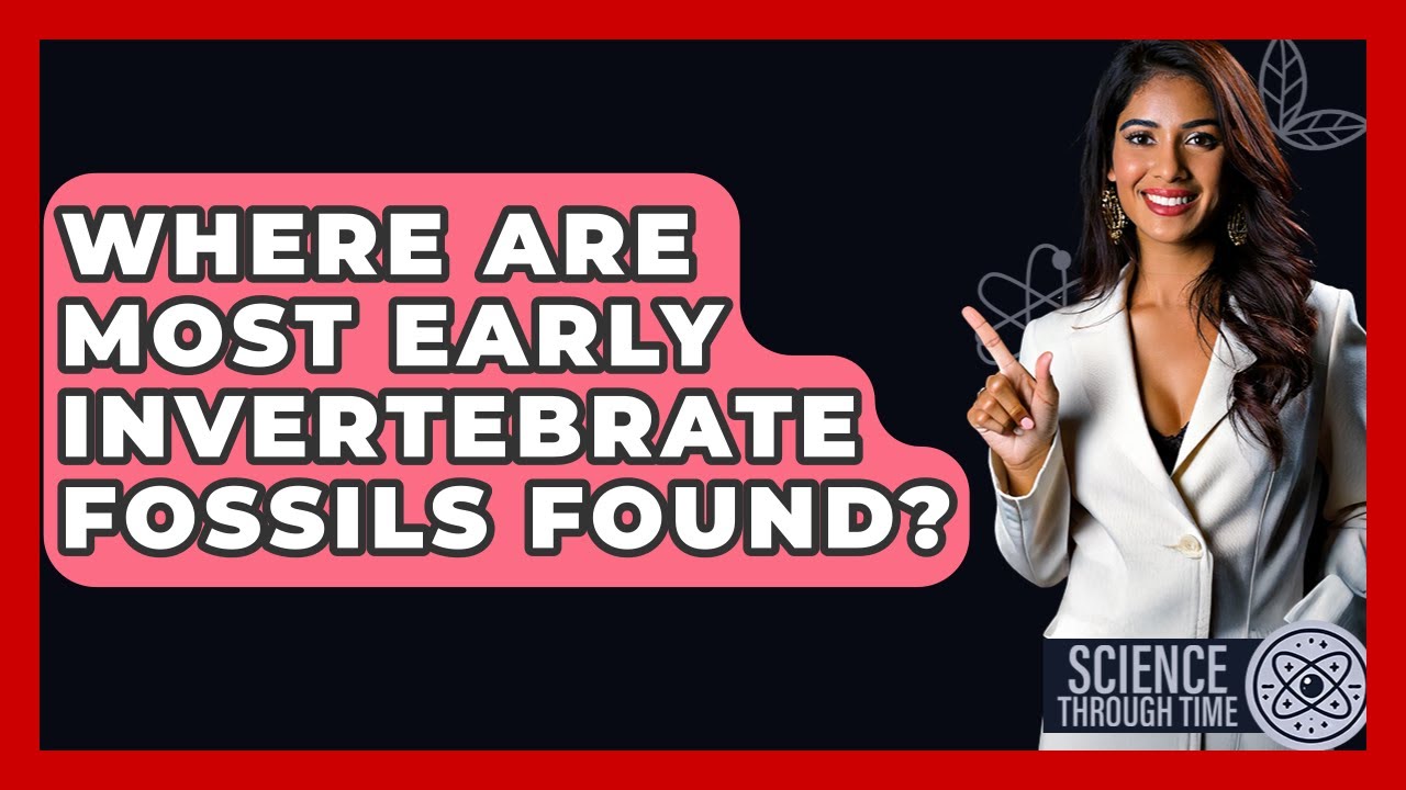 Where Are Most Early Invertebrate Fossils Found? - Science Through Time