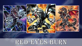 Deck Red-Eyes Metalmorph Burn
Download DECK - https://www.mediafire.com/file/ik1aqdf4nnzsycj/burn+red-eyes.ydk/file
Skin Master Duel- https://www.facebook.com/groups/edoprohd
Facebook - https://www.facebook.com/YgoproOtkS
---------
Main Deck:
Red-Eyes Black Dragon x1
Red-Eyes Darkness Metal Dragon x1
Red-Eyes Black Fullmetal Dragon x1
Metalzoa X x1
Zoa the Fiendish Beast x2
Kashtira Unicorn x3
Kashtira Fenrir x2
Red-Eyes Metal Claw Dragon x2
Red-Eyes Soul x1
Metalflame Swordsman x2
Red-Eyes Black Meteor Dragon x2
Kashtira Riseheart x1
Mulcharmy Fuwalos x2
Ash Blossom & Joyous Spring x2
Black Metal Dragon x3
Metal Illusionist x1
One for One x1
Triple Tactics Talent x1
Kashtiratheosis x1
Triple Tactics Thrust x1
Incoming Machine! x3
Kashtira Birth x1
Pressured Planet Wraitsoth x3
Infinite Impermanence x2
Max Metalmorph x1
Flame Coating Metalmorph x1
Extra Deck:
Divine Arsenal AA-ZEUS - Sky Thunder x1
Super Starslayer TY-PHON - Sky Crisis x1
Red-Eyes Flare Metal Dragon x3
Blaze, Supreme Ruler of all Dragons x1
Mecha Phantom Beast Dracossack x1
Number 11: Big Eye x1
Voloferniges, the Darkest Dragon Doomrider x1
Expurrely Happiness x1
Kashtira Shangri-Ira x1
S:P Little Knight x1
I:P Masquerena x1
Hieratic Seal of the Heavenly Spheres x1
Striker Dragon x1
Side Deck:
Mulcharmy Fuwalos x1
Mulcharmy Purulia x3
Ring of Destruction x3
⏱️ TIMESTAMPS⏱️
00:00 - Intro
00:08 - Vs Maliss
01:37 - Vs Dragon Link
03:02 - Vs Tenpai Dragon Ruler
04:55 - Vs Blue-Eyes
07:05 - Vs Azamina White Forest
08:31 - Vs Centur-ion Azamina
09:52 - Vs Maliss
12:01 - Decklist
---------
Soundtrack
1- https://www.youtube.com/watch?v=SggqKQZrugY
2- https://www.youtube.com/watch?v=NlY0oGDH0bc
3- https://www.youtube.com/watch?v=XgW3DrPikoQ
---------
---------
Thanks for watching, please like and subscribe.
#masterduel #ygopro #edopro #yugioh #otk #combo #TCG #masterduel #red-eyes #burn #metalmorph Deck Red-Eyes Metalmorph Burn
