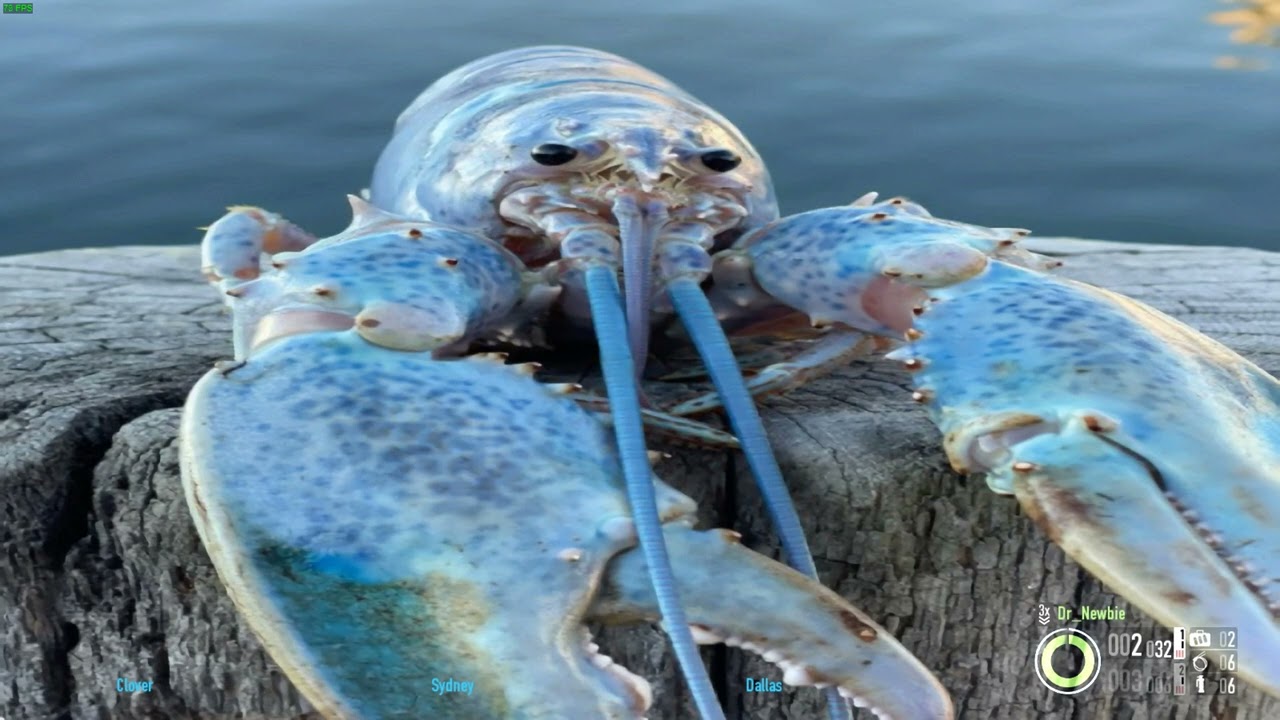 Payday 2 Replaces flashbangs with the lobster meme YouTube