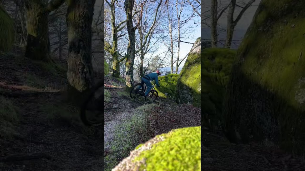 Green trail in Terras de Bouro Portugal